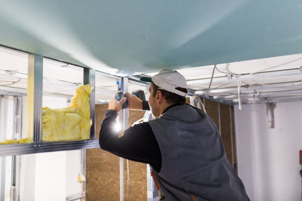 Best Cellulose Insulation in Fairmount, CO